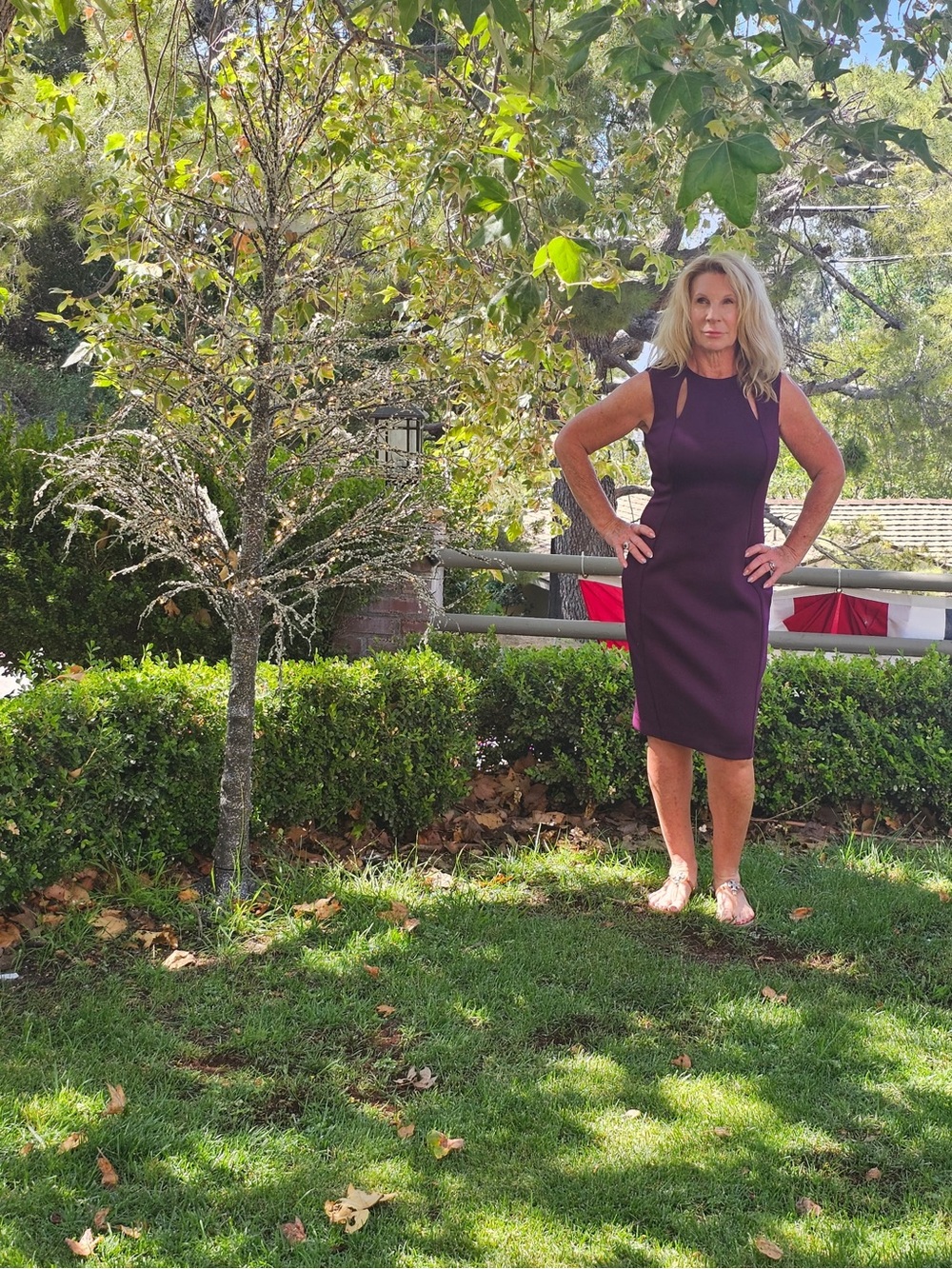 Calvin Klein Plum Sleeveless Sheath Midi Dress